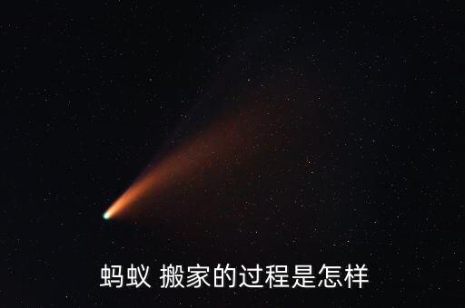  蚂蚁 搬家的过程是怎样