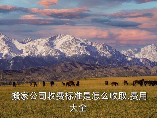  搬家公司收费标准是怎么收取,费用大全