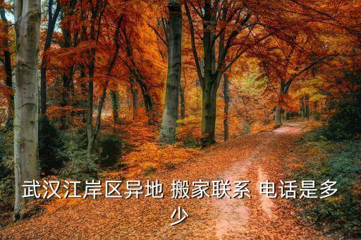 武汉江岸区异地 搬家联系 电话是多少