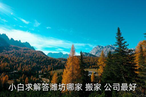 小白求解答潍坊哪家 搬家 公司最好