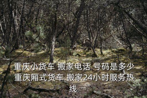  重庆小货车 搬家电话 号码是多少 重庆厢式货车 搬家24小时服务热线
