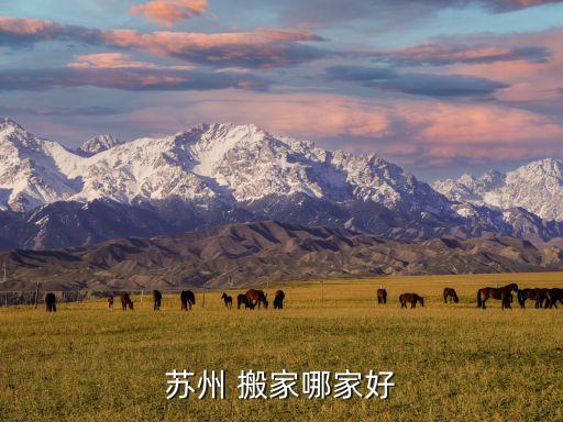 启东搬家公司有哪些