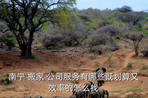 南宁 搬家 公司服务有哪些既划算又效率的怎么找