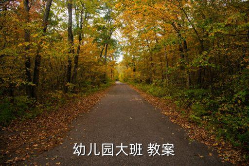 幼儿园大班 教案