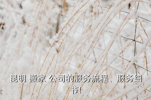 昆明 搬家 公司的服务流程、服务细节!