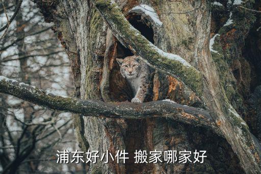  浦东好小件 搬家哪家好