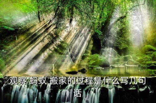 观察 蚂蚁 搬家的过程是什么写几句话
