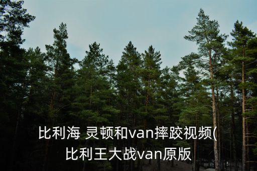  比利海 灵顿和van摔跤视频( 比利王大战van原版