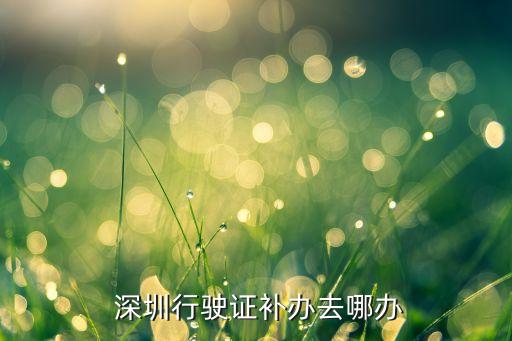  深圳行驶证补办去哪办