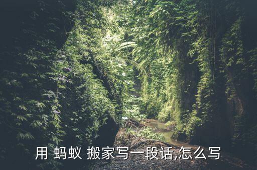 蚂蚁搬家加扩词,形容蚂蚁搬家的好词好句