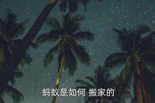 蚂蚁是如何 搬家的