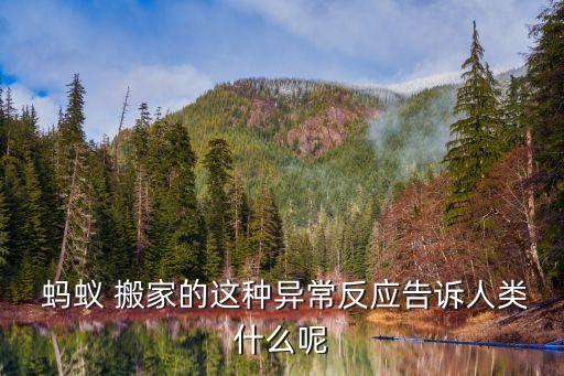 使用蚂蚁搬家风险,蚂蚁搬家怎么使用