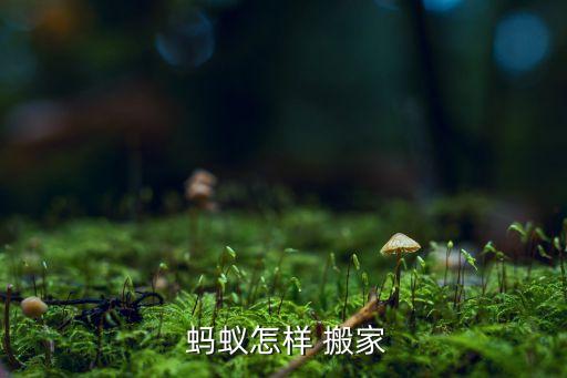  蚂蚁怎样 搬家