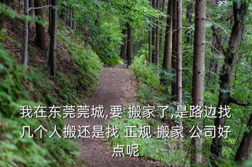 我在东莞莞城,要 搬家了,是路边找几个人搬还是找 正规 搬家 公司好点呢