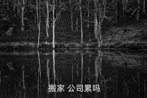 搬家公司的职业怎么写,对搬家公司的好评怎么写
