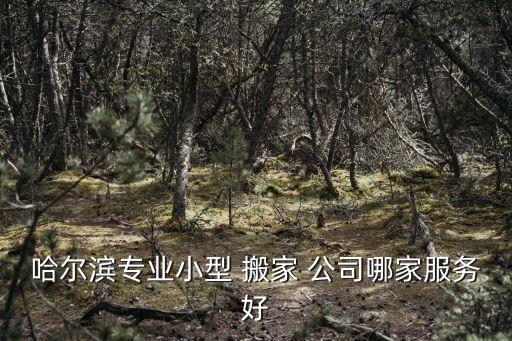 北郊好的搬家公司,西安市北郊搬家公司电话号码查询