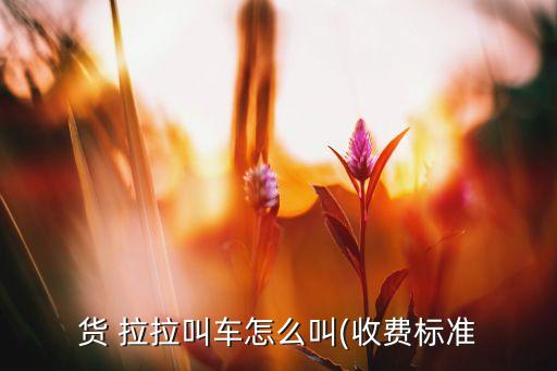 货 拉拉叫车怎么叫(收费标准