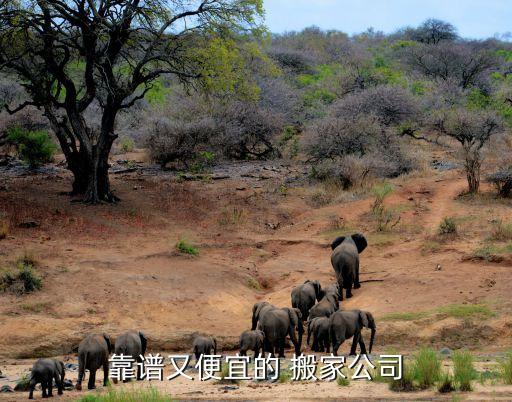 靠谱又便宜的 搬家公司