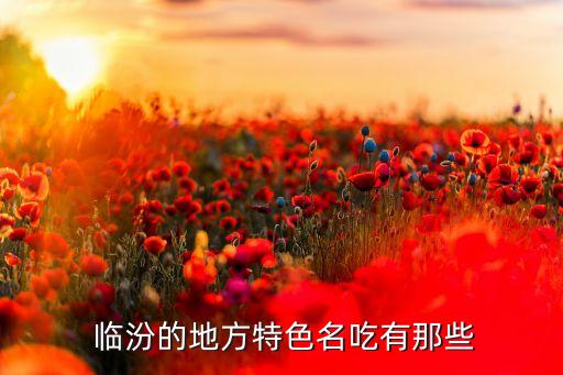  临汾的地方特色名吃有那些