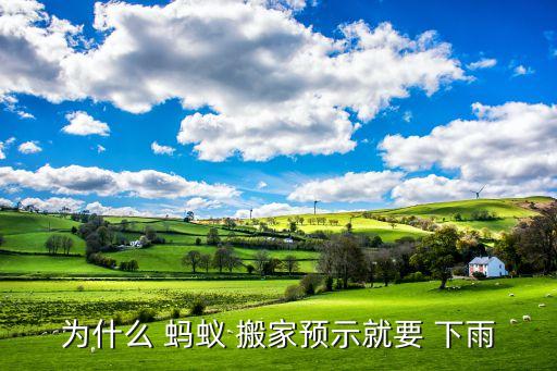 蚂蚁搬家意味着下雨,为什么蚂蚁搬家会下雨?答案