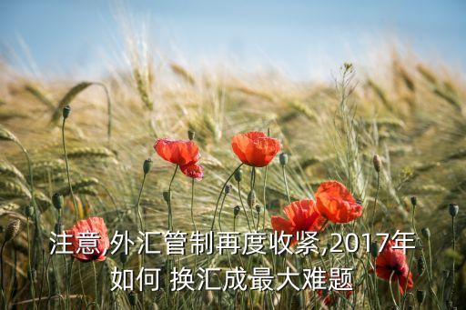 蚂蚁搬家换汇一年
