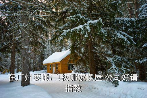 上海到汕尾市搬家公司,上海搬家公司排名前十名电话