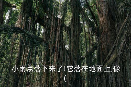  小雨点落下来了!它落在地面上,像(