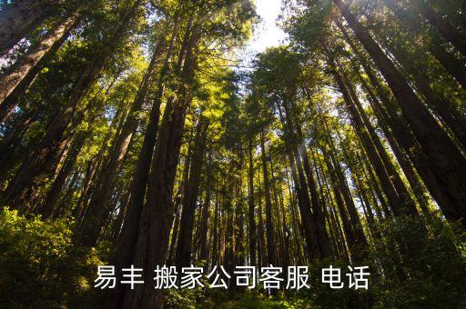 易丰 搬家公司客服 电话