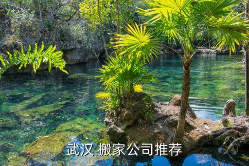 武汉 搬家公司推荐