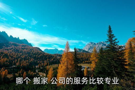 哪个 搬家 公司的服务比较专业