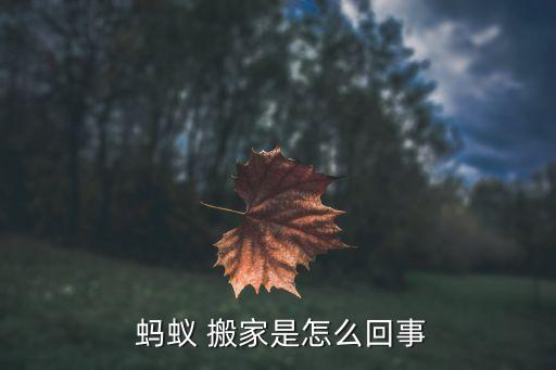  蚂蚁 搬家是怎么回事