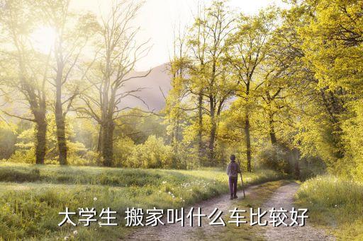 商丘市大学生搬家公司,搬家公司创业计划书大学生