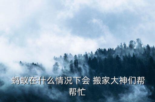 蚂蚁搬家有什么特征